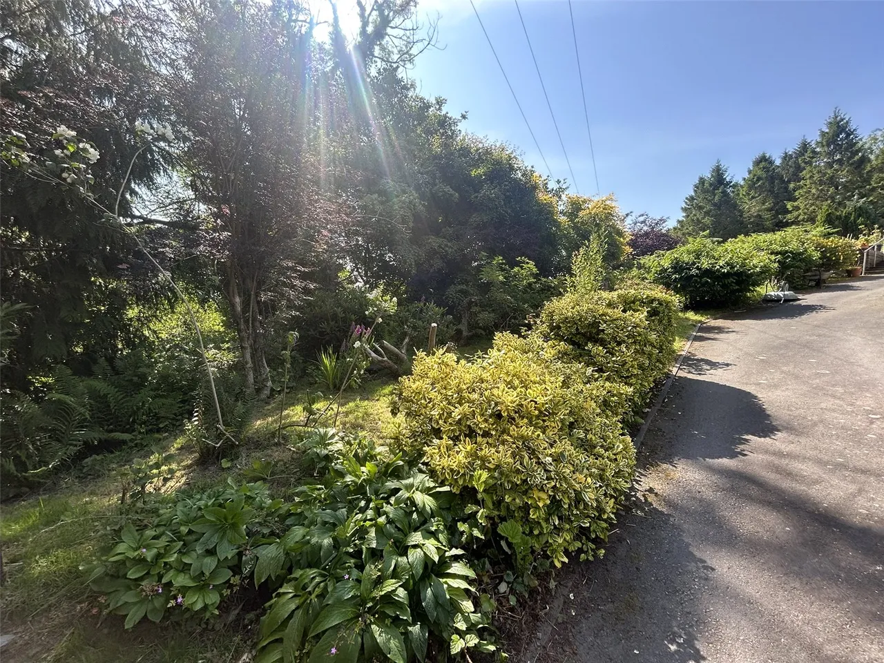 Aberdovey, Gwynedd, photo 19