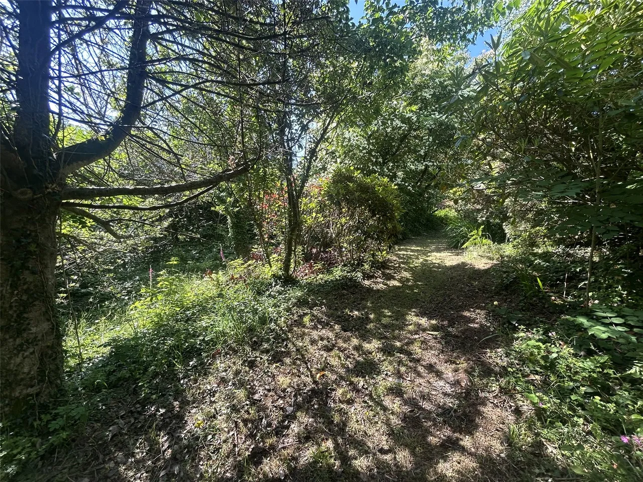 Aberdovey, Gwynedd, photo 26