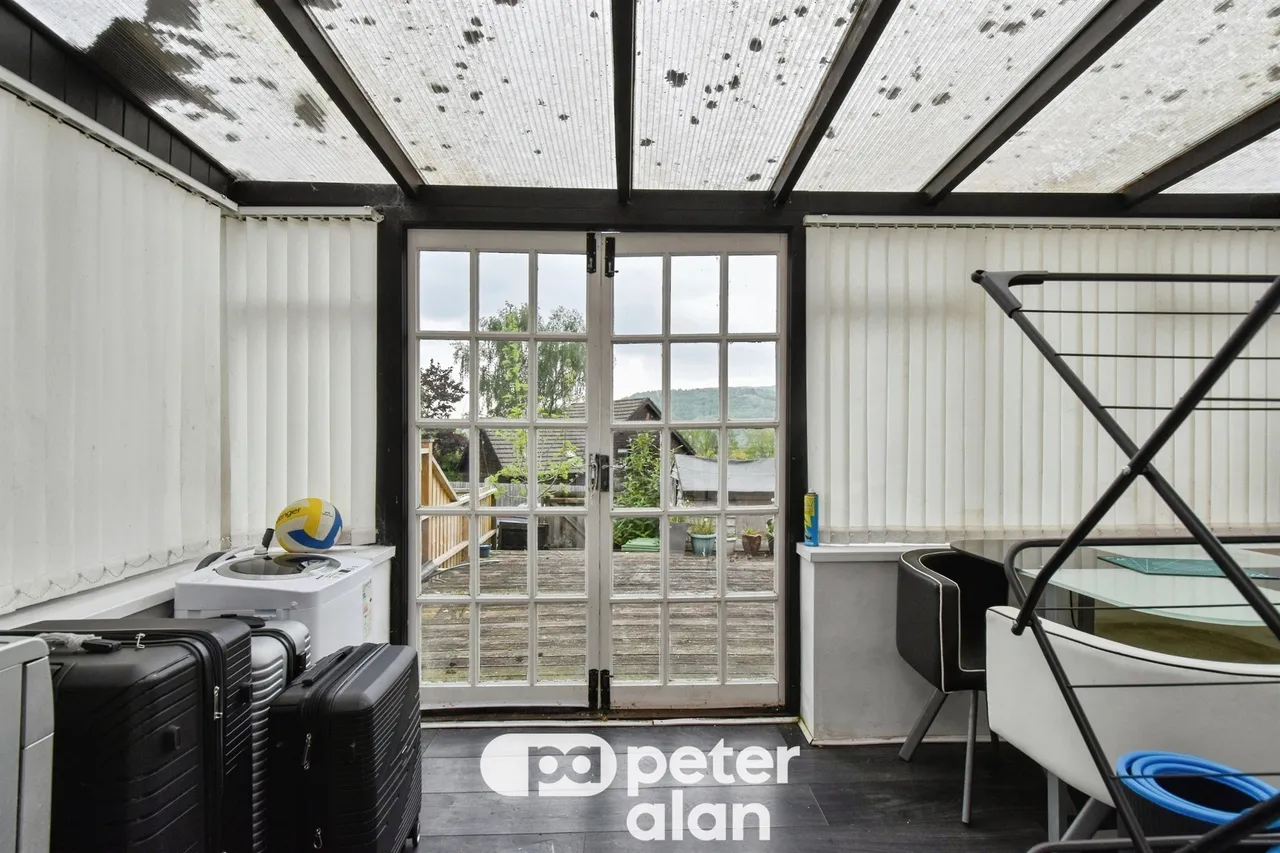 Sierra Pines MOUNTAIN ASH, CF45, photo 5