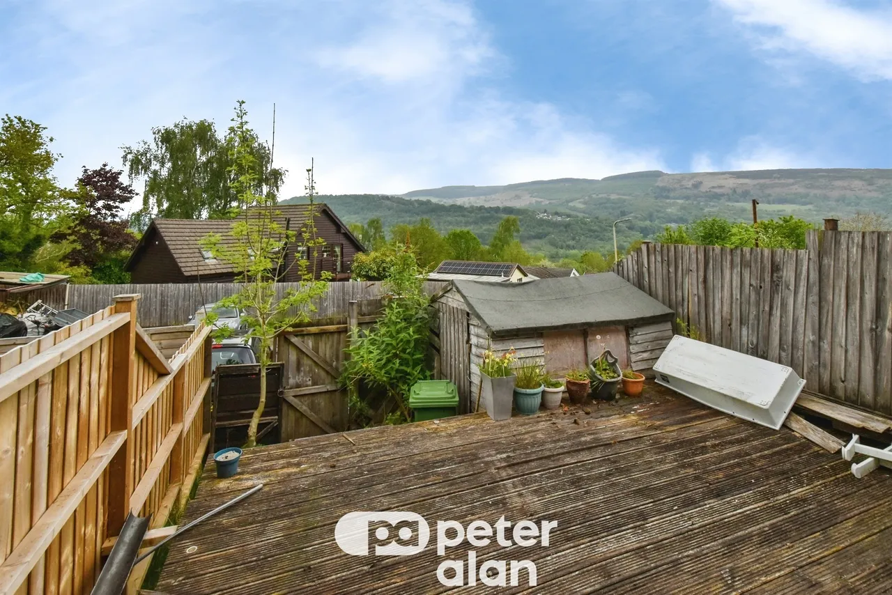 Sierra Pines MOUNTAIN ASH, CF45, photo 15