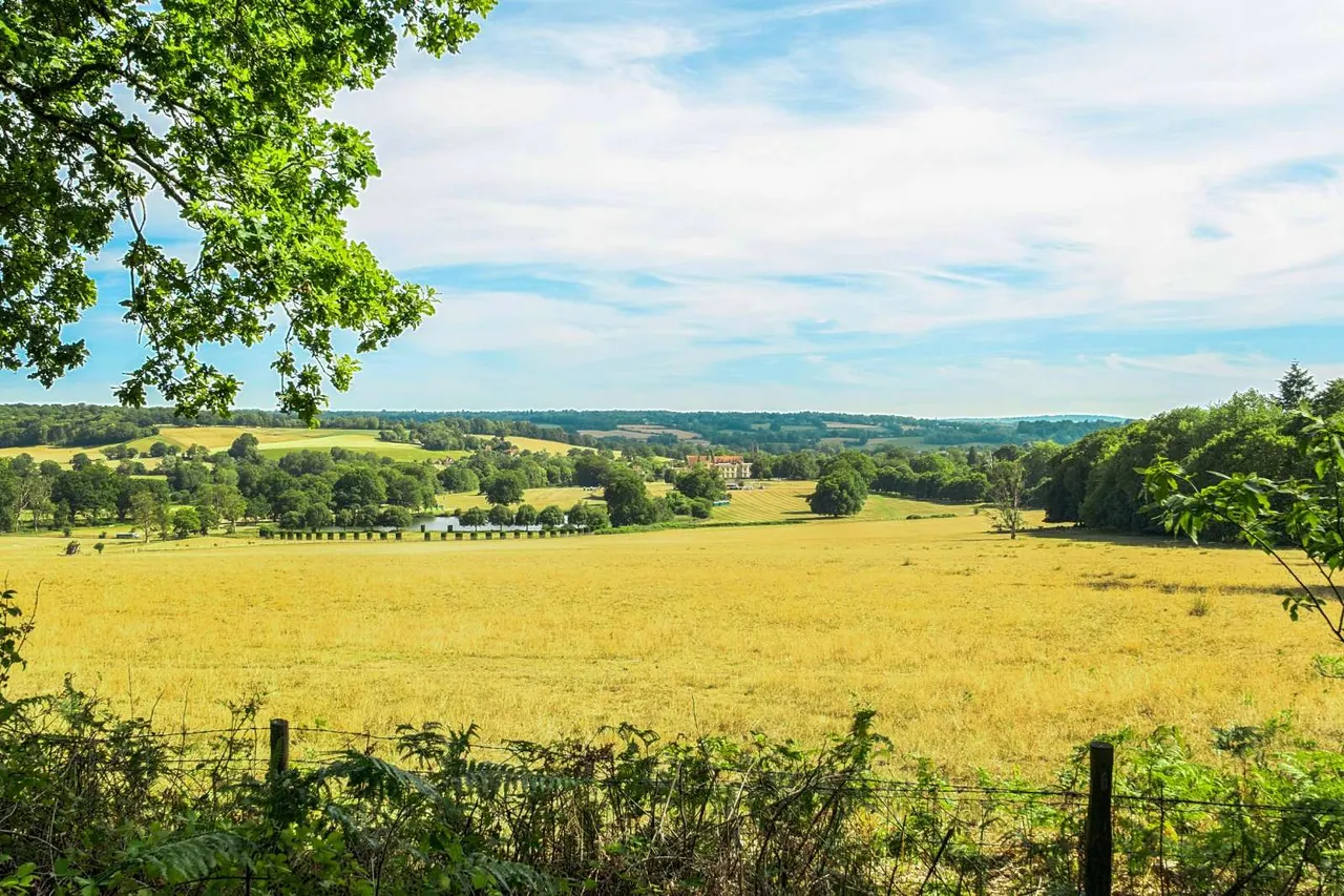 Penshurst Road, Penshurst, TN11, photo 2