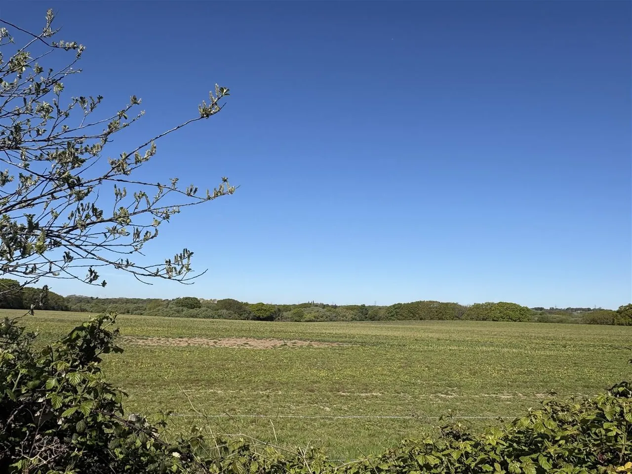 Turtle Close, Stubbington, Fareham, photo 3