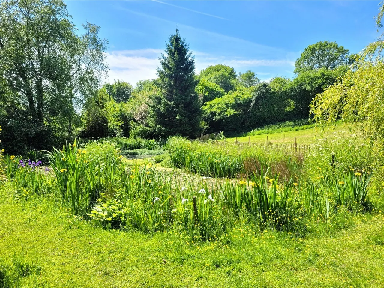 Beaminster, DT8, photo 4