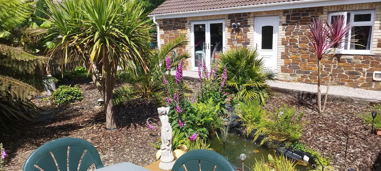 Tye Hill Close, Trewoon, photo 20