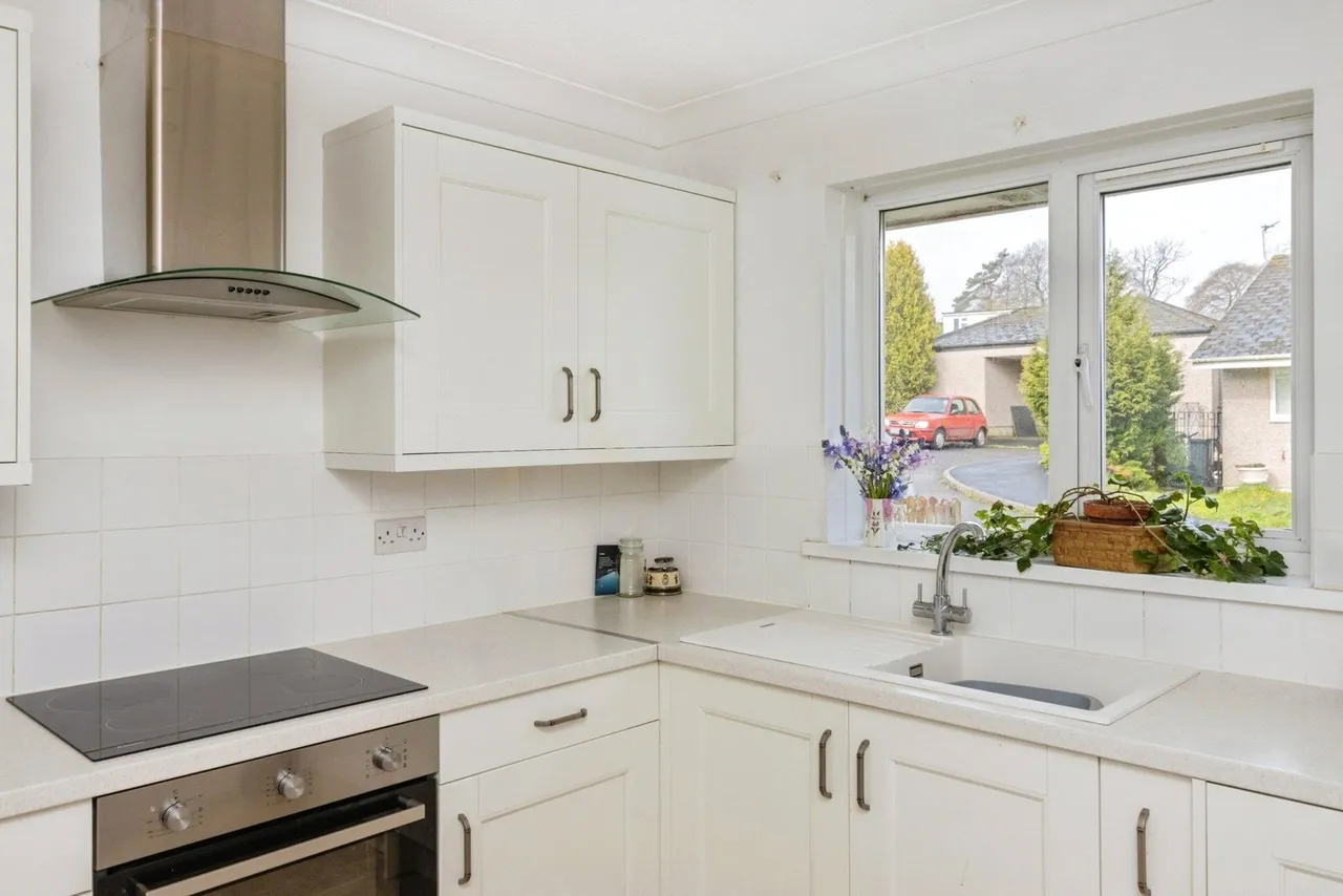 Beech Close, Totnes, TQ9, photo 9