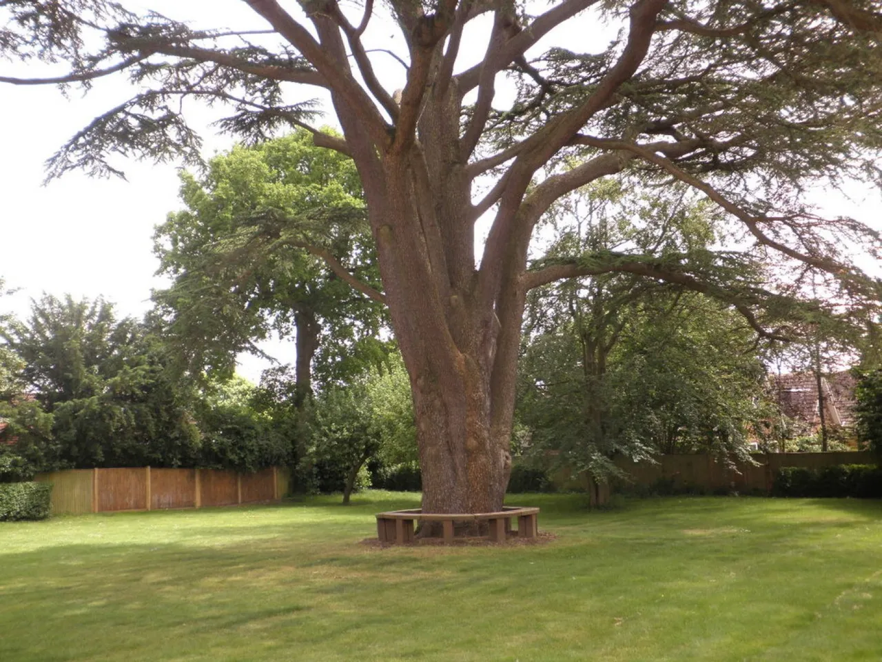 Wray Park Road, Reigate, RH2, photo 18