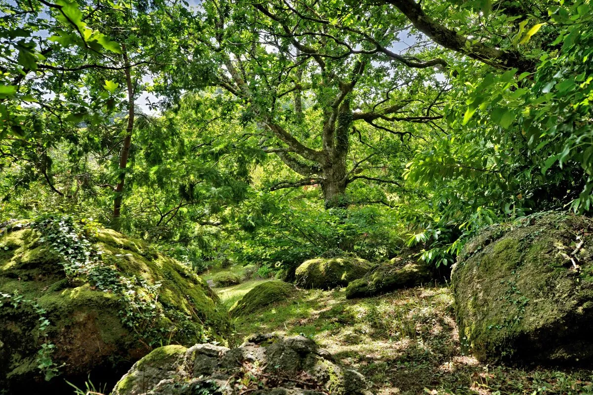 Lustleigh, Newton Abbot, TQ13, photo 22