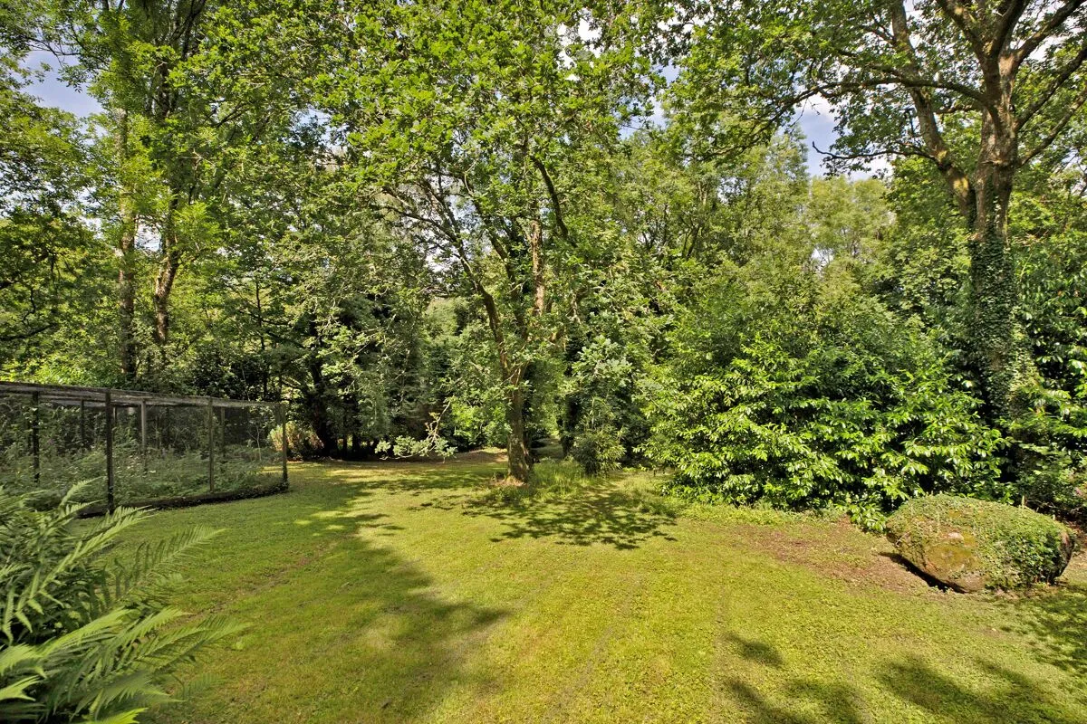 Lustleigh, Newton Abbot, TQ13, photo 19