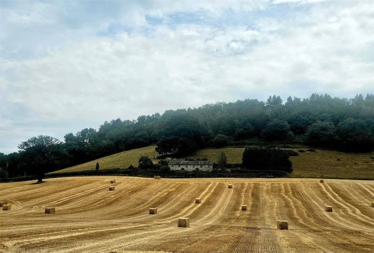 Wents Castle, Walton, Presteigne, Powys, LD8 2PH, photo 14