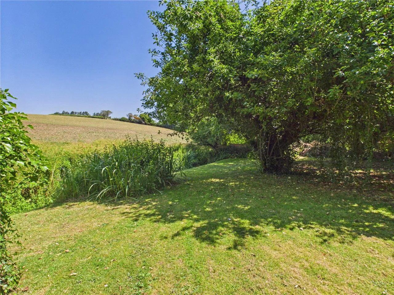 Bow, Crediton, Devon, EX17, photo 12