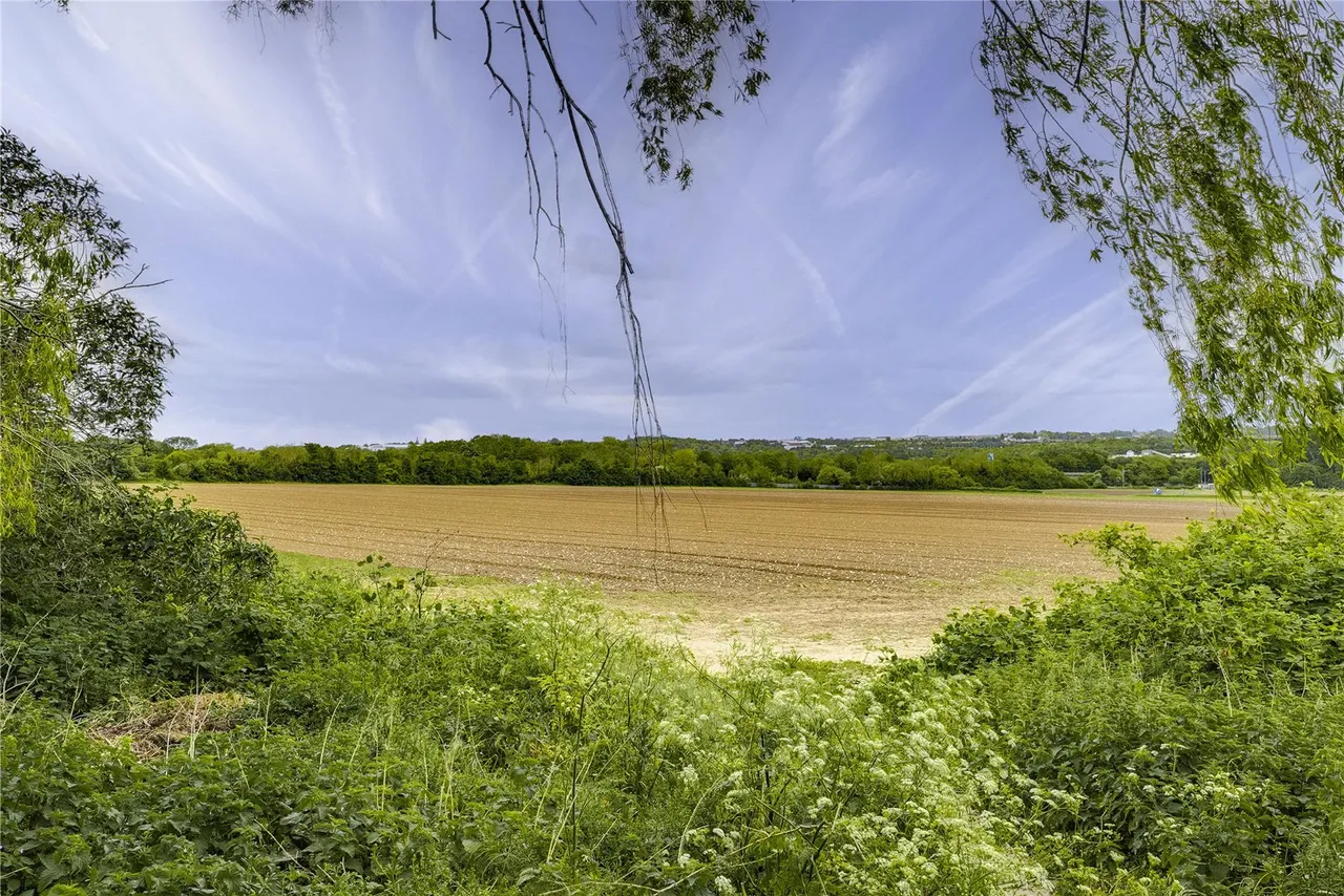 May Road, Hawley, DA2, photo 8