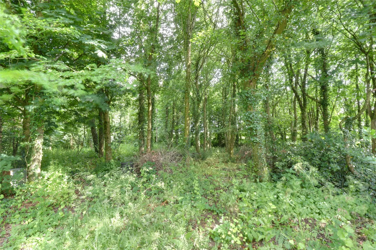 Petrockstow, Okehampton, EX20, photo 31