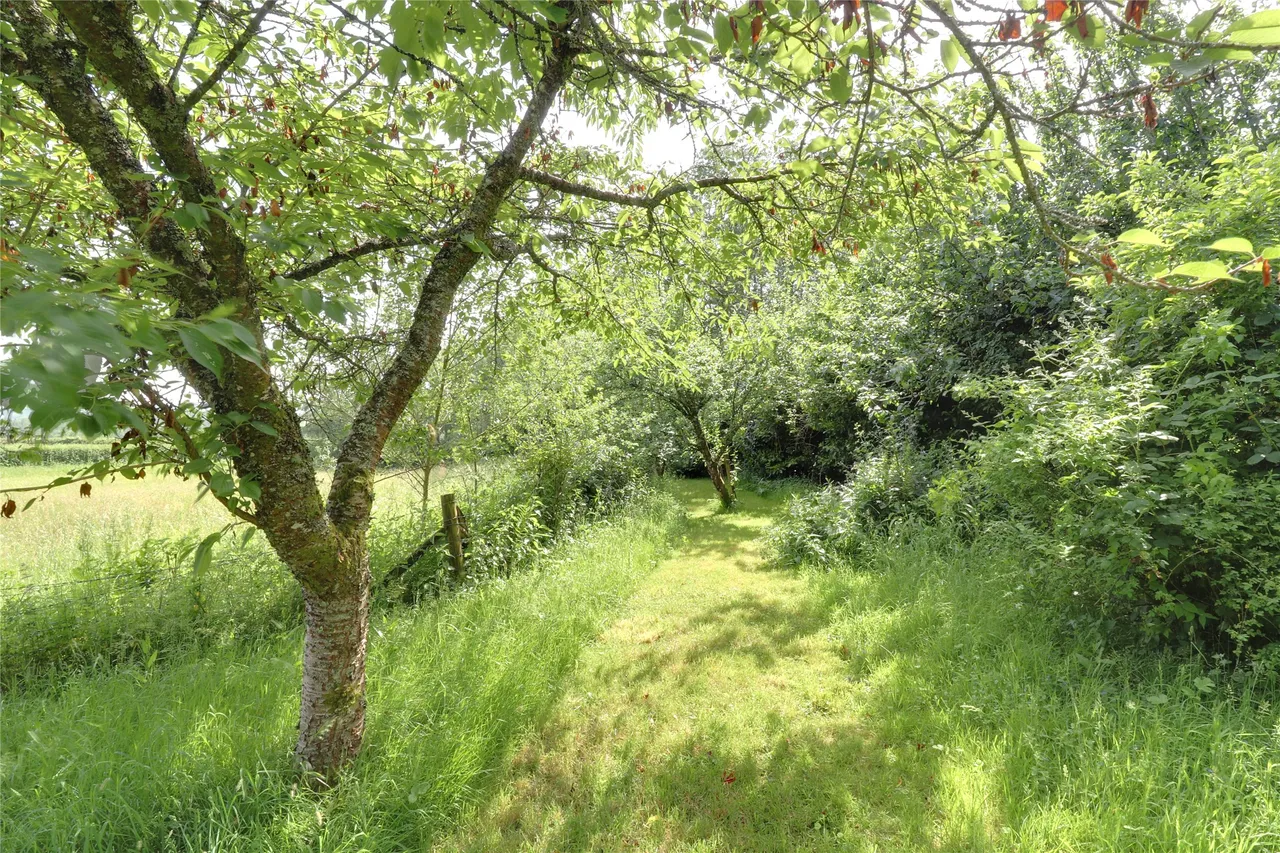 Petrockstow, Okehampton, EX20, photo 27