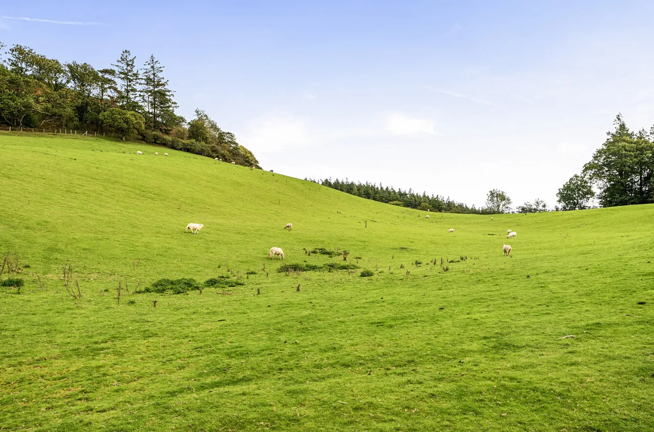 Capel Dewi, Aberystwyth, photo 8