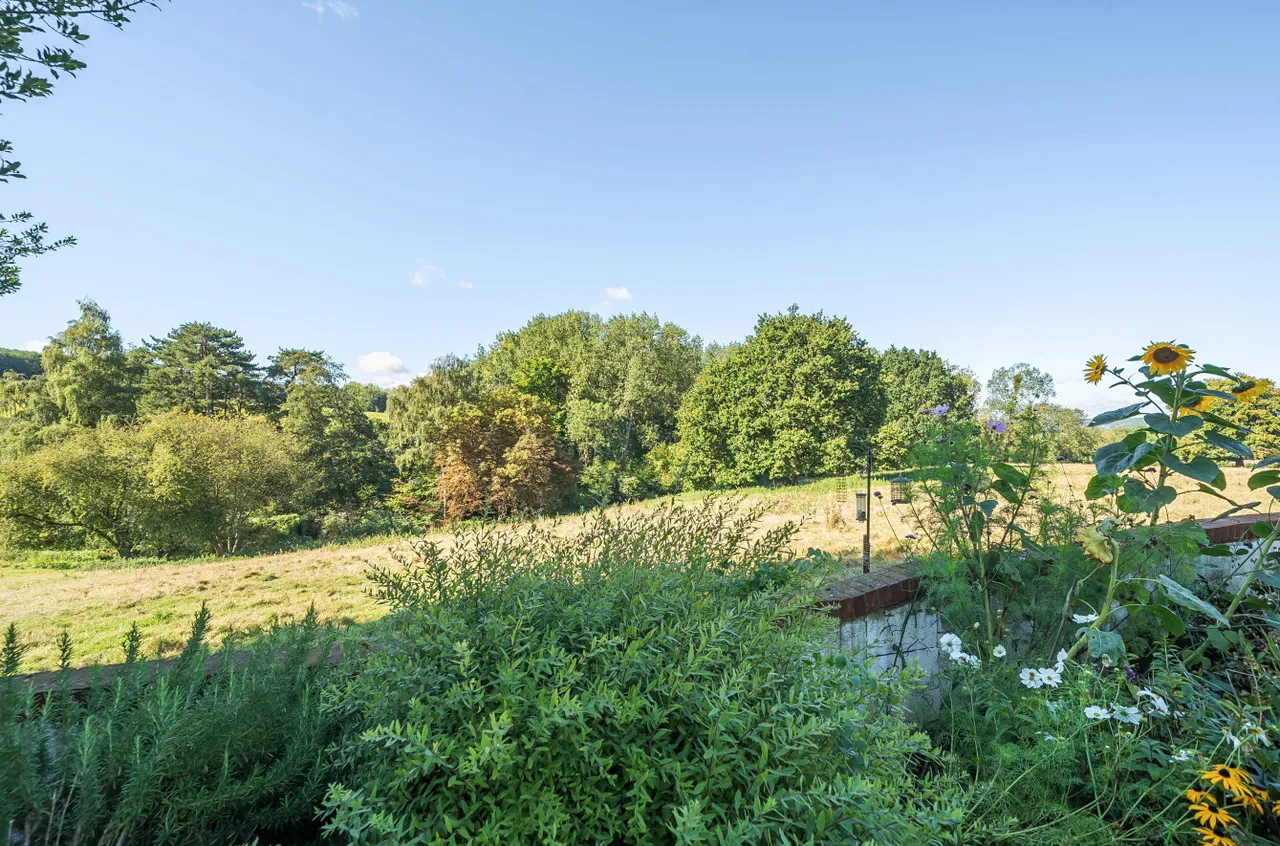 Ewell Lane, Maidstone, ME15, photo 3