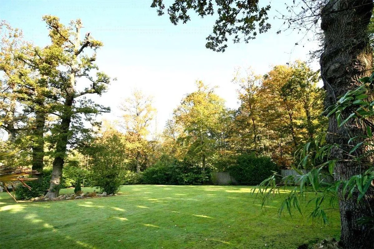 Westwood Road, Windlesham, GU20, photo 10