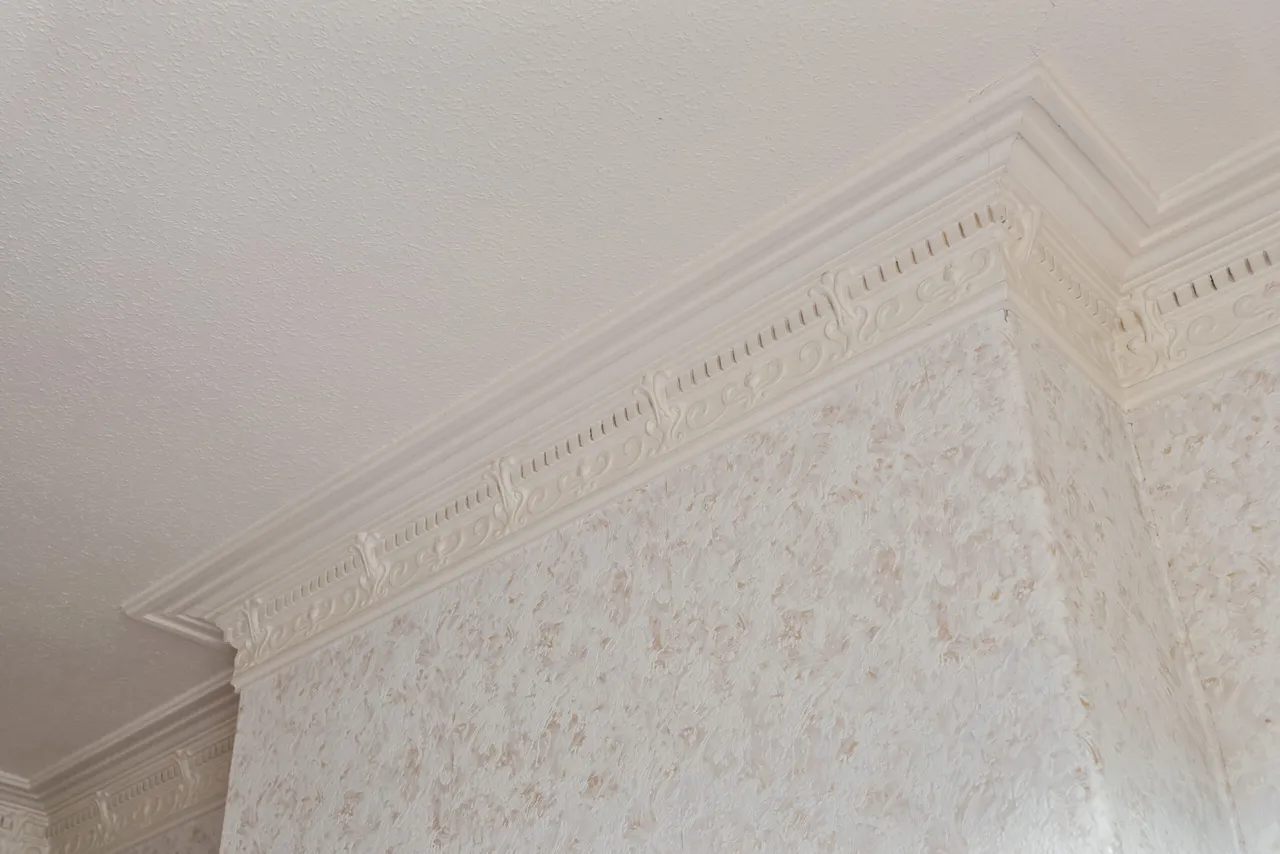 Main Door Flat, 42 Dinmont Road, Shawlands, G41 3UL, photo 8