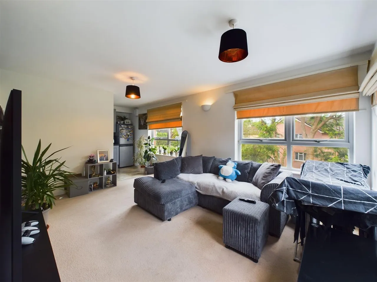 Old Meadow House, Town Centre, photo 2