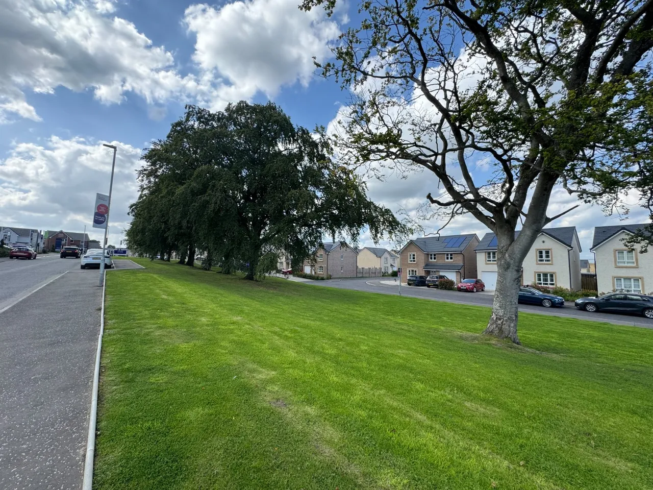 Duich Crescent, Glasgow, G33, photo 26