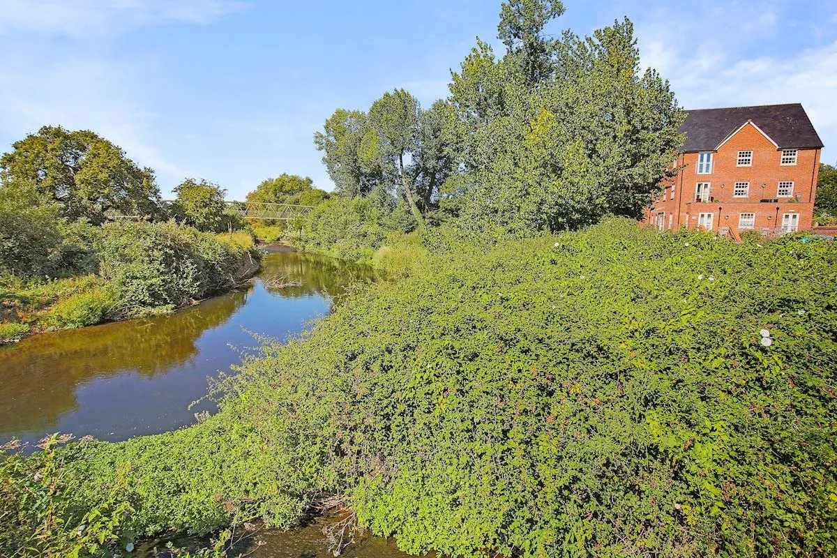 Tumbling Weir Way, Ottery St. Mary, EX11, photo 12