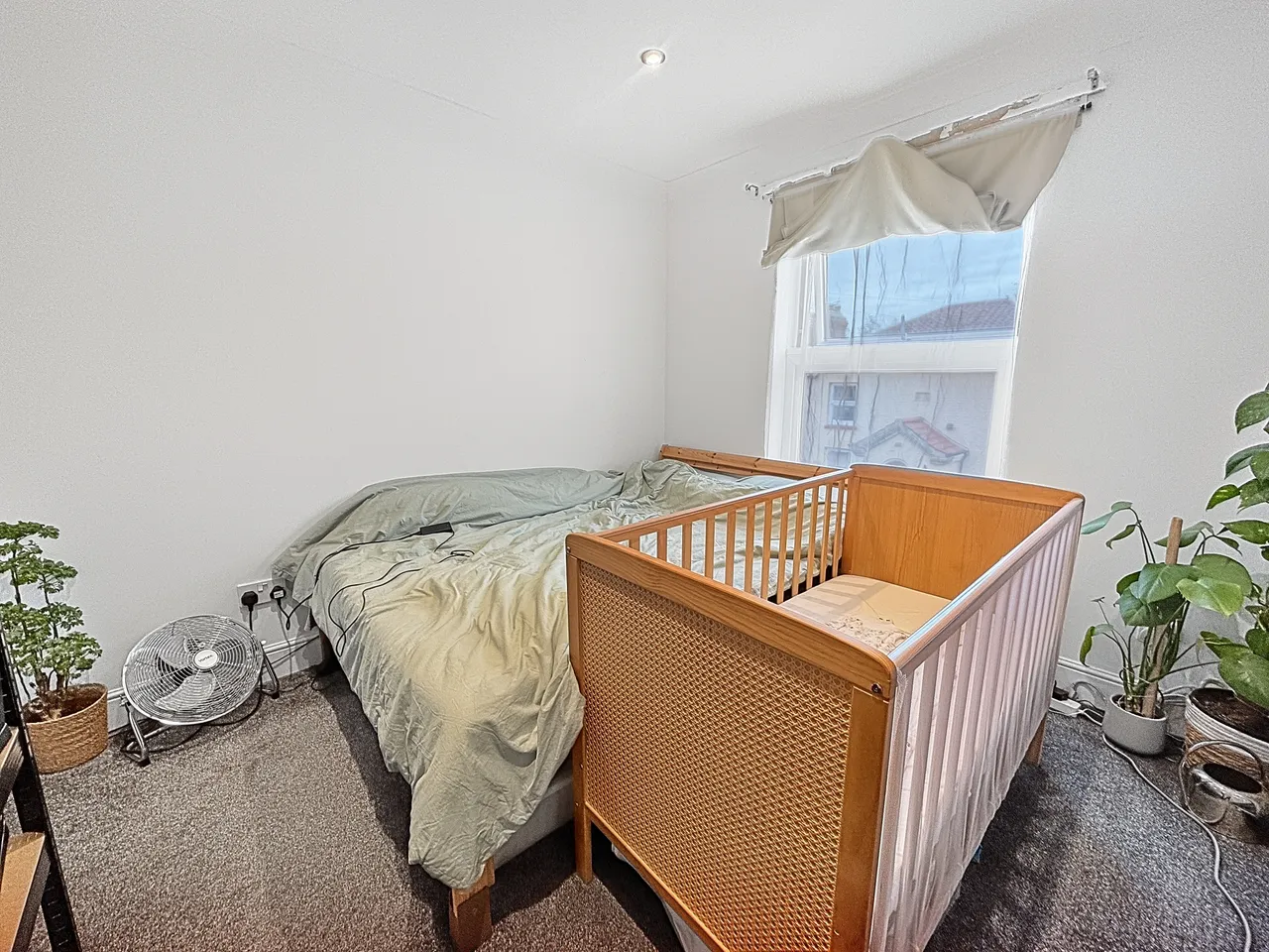 Nelson Street, Norwich, NR2, photo 6