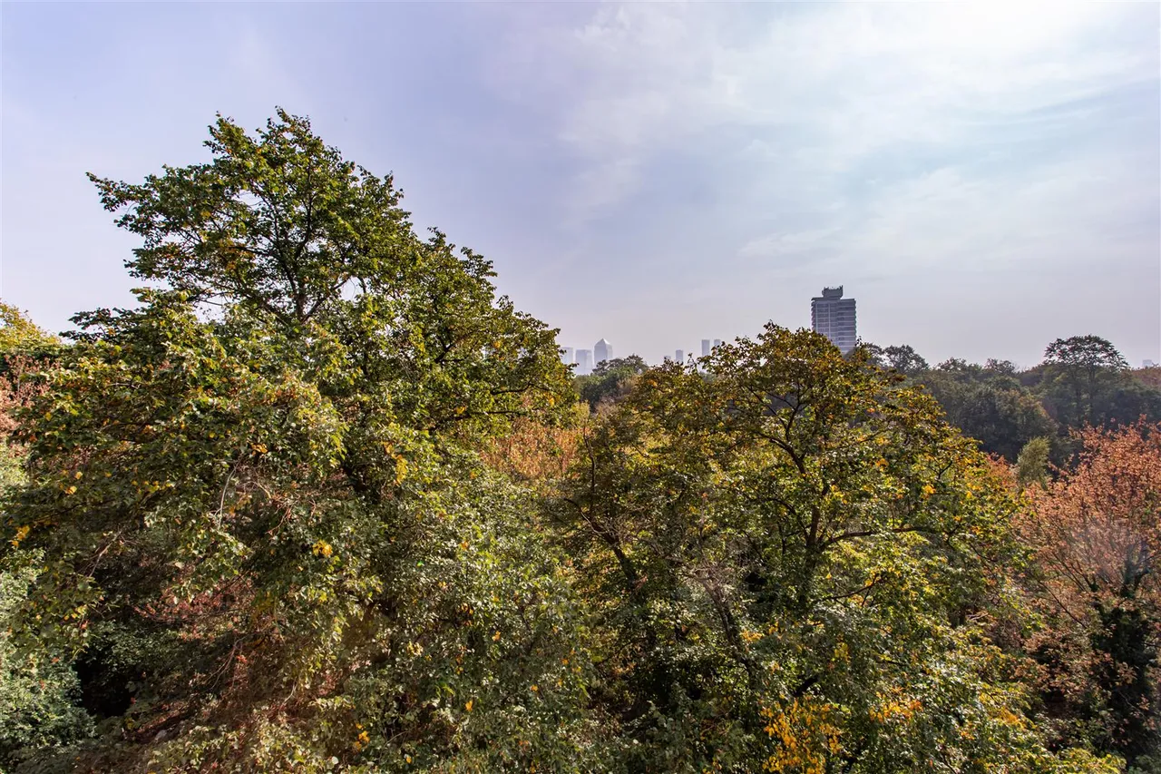 St. Clements Avenue, Mile End, photo 11