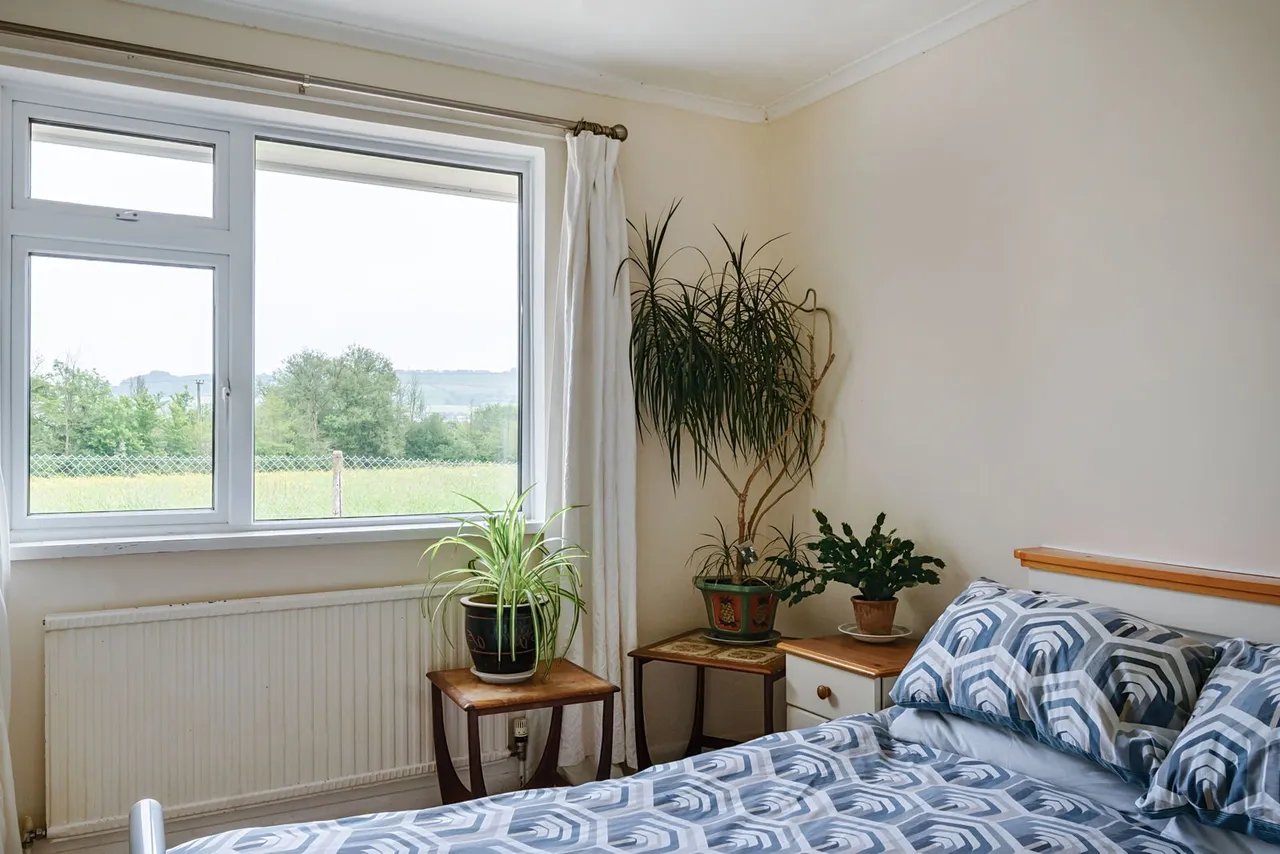 Whitford, Axminster, EX13, photo 13