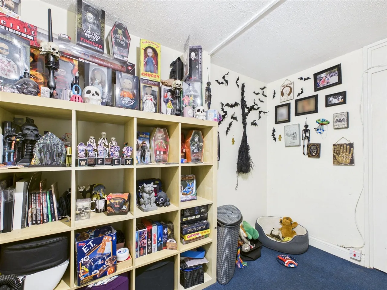 Todd Close, Nottingham, NG11, photo 10