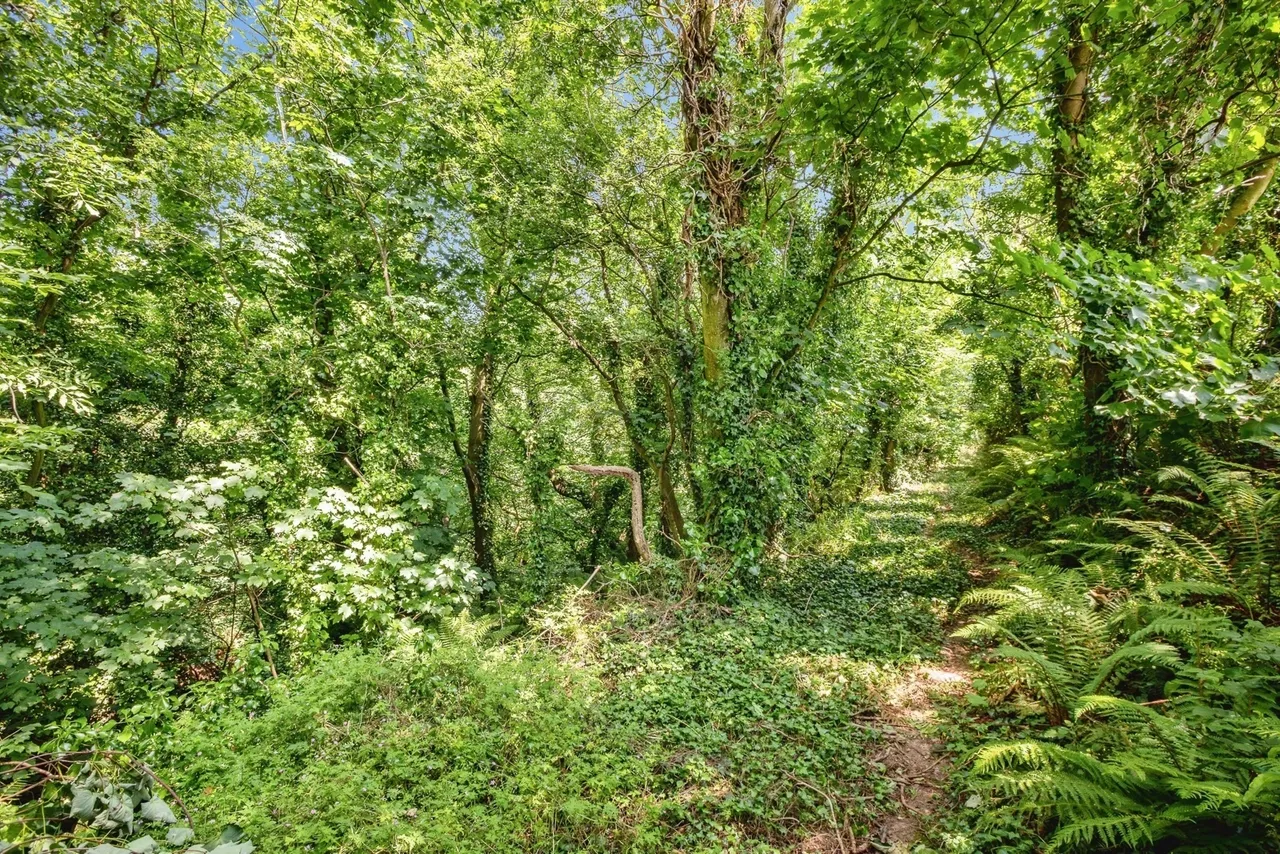 Parcllyn, Cardigan, SA43, photo 20