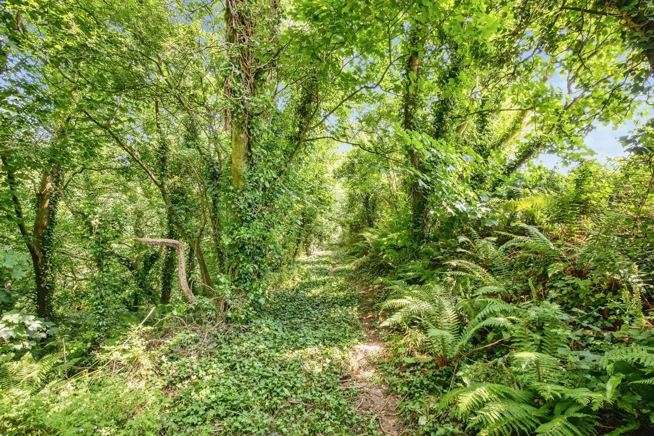 Parcllyn, Cardigan, SA43, photo 23