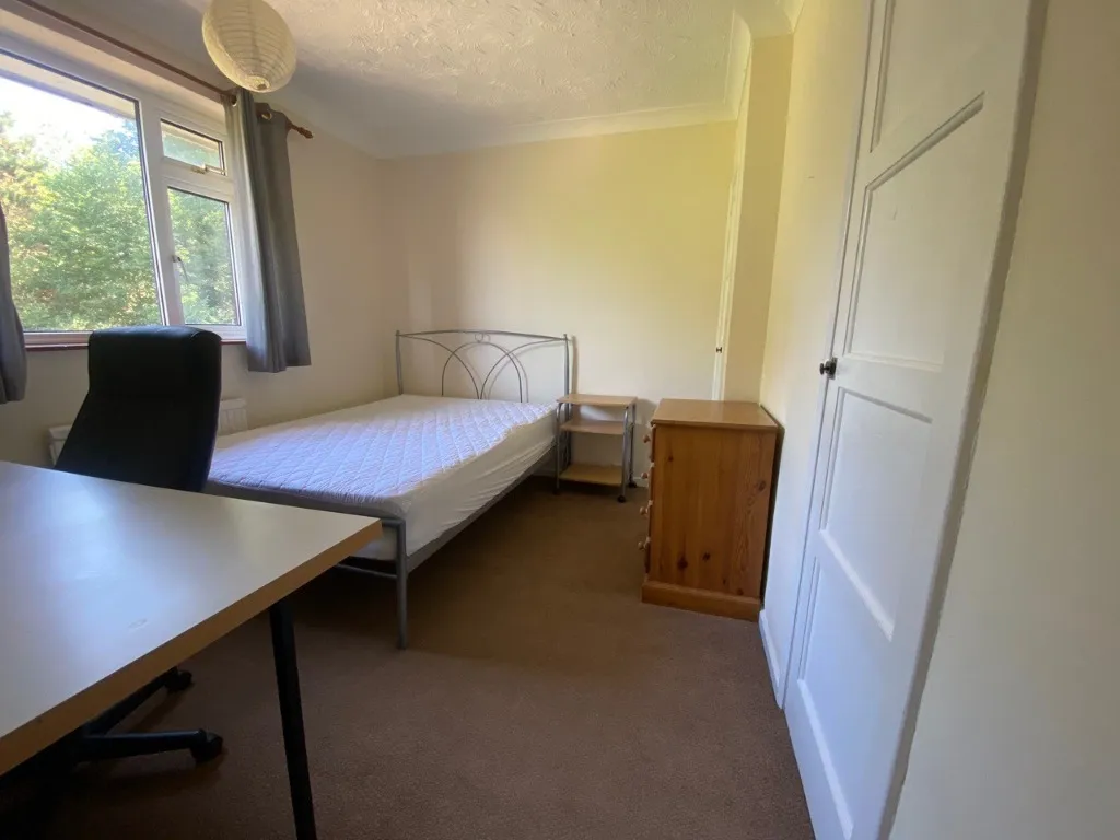 Cunningham Road, Norwich, NR5, photo 6