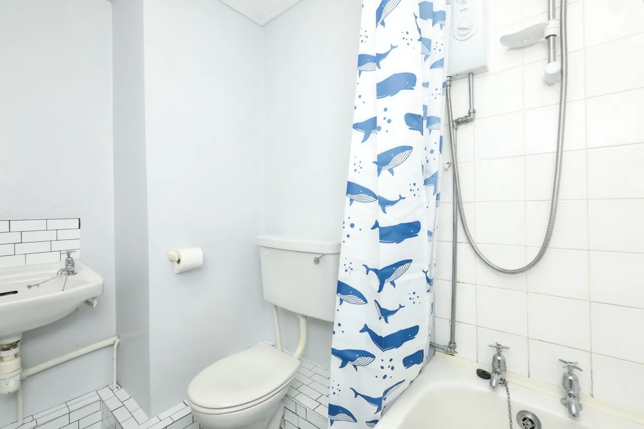 Wostenholm Road, SHEFFIELD, South Yorkshire, S7, photo 13