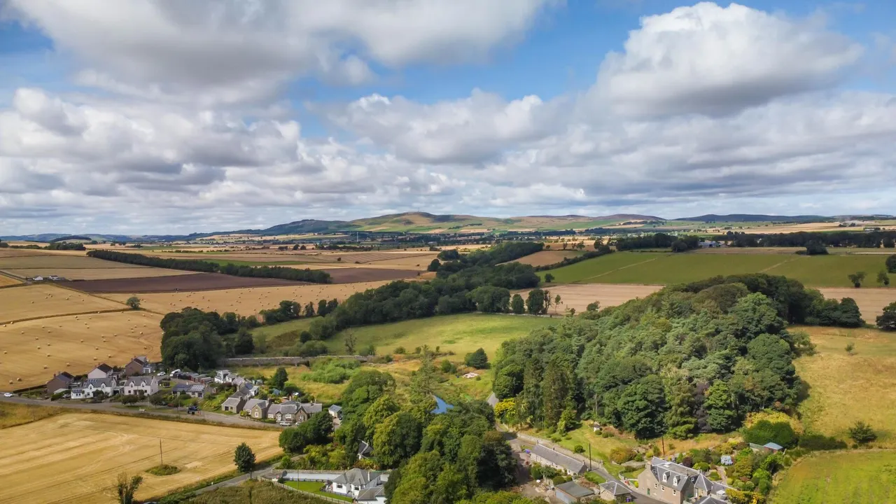 Oak Loan, Broughty Ferry, DD5, photo 36