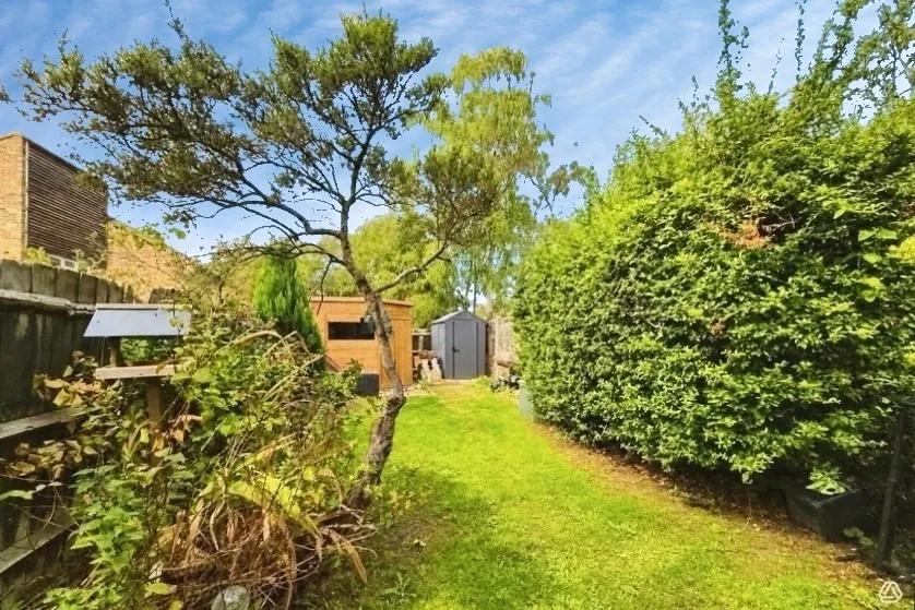 Juniper, Bracknell, RG12, photo 5