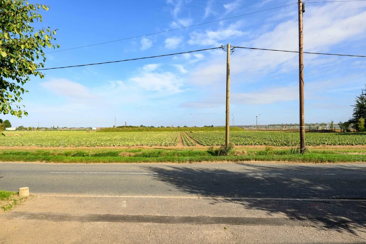 Fishtoft Road, Fishtoft, PE21, photo 43