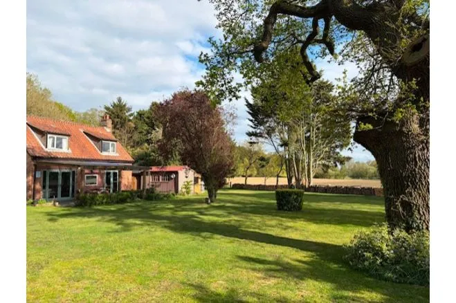 Broadflash Lane, Thetford, IP25, photo 43