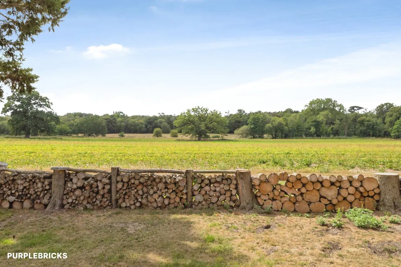 Broadflash Lane, Thetford, IP25, photo 19