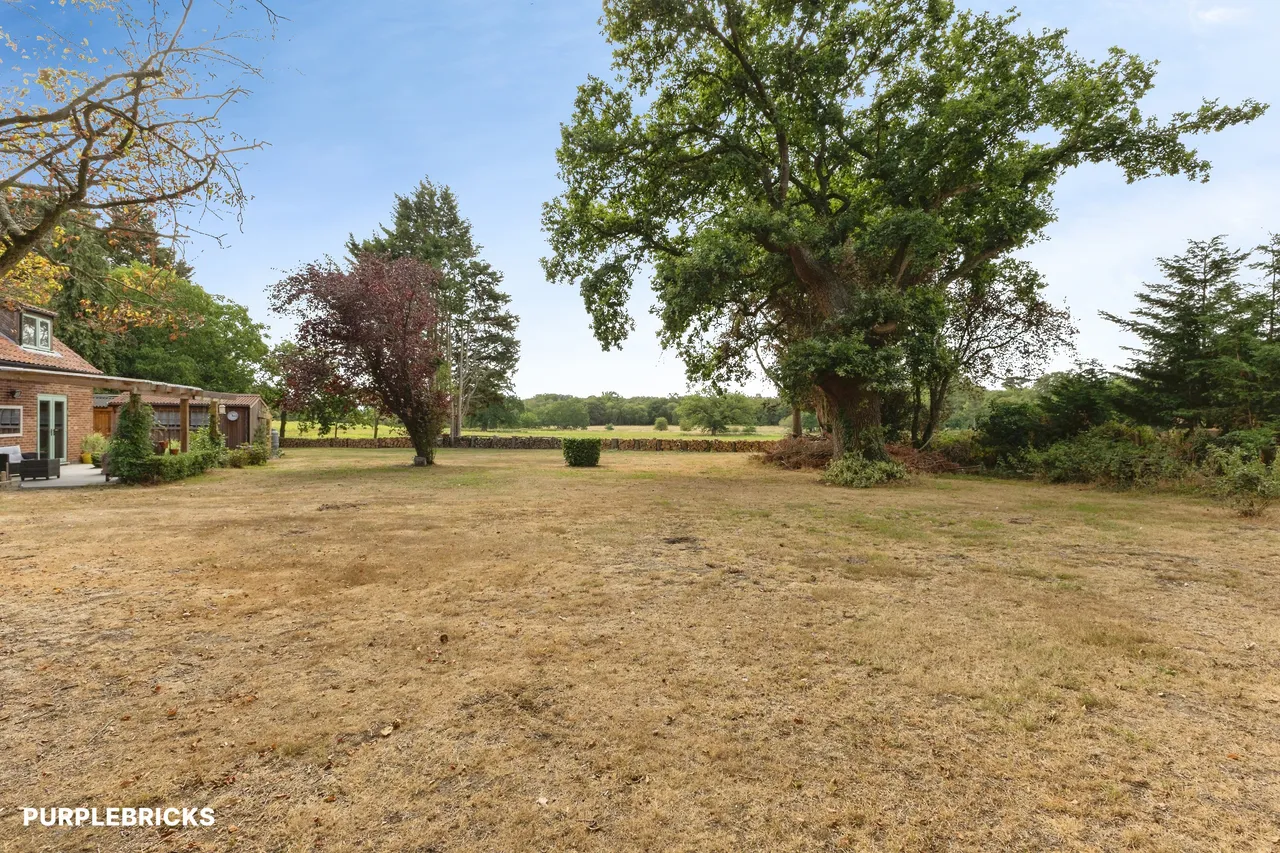 Broadflash Lane, Thetford, IP25, photo 25