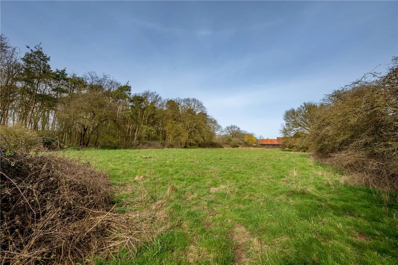 Barondole Lane, Topcroft, NR35, photo 15