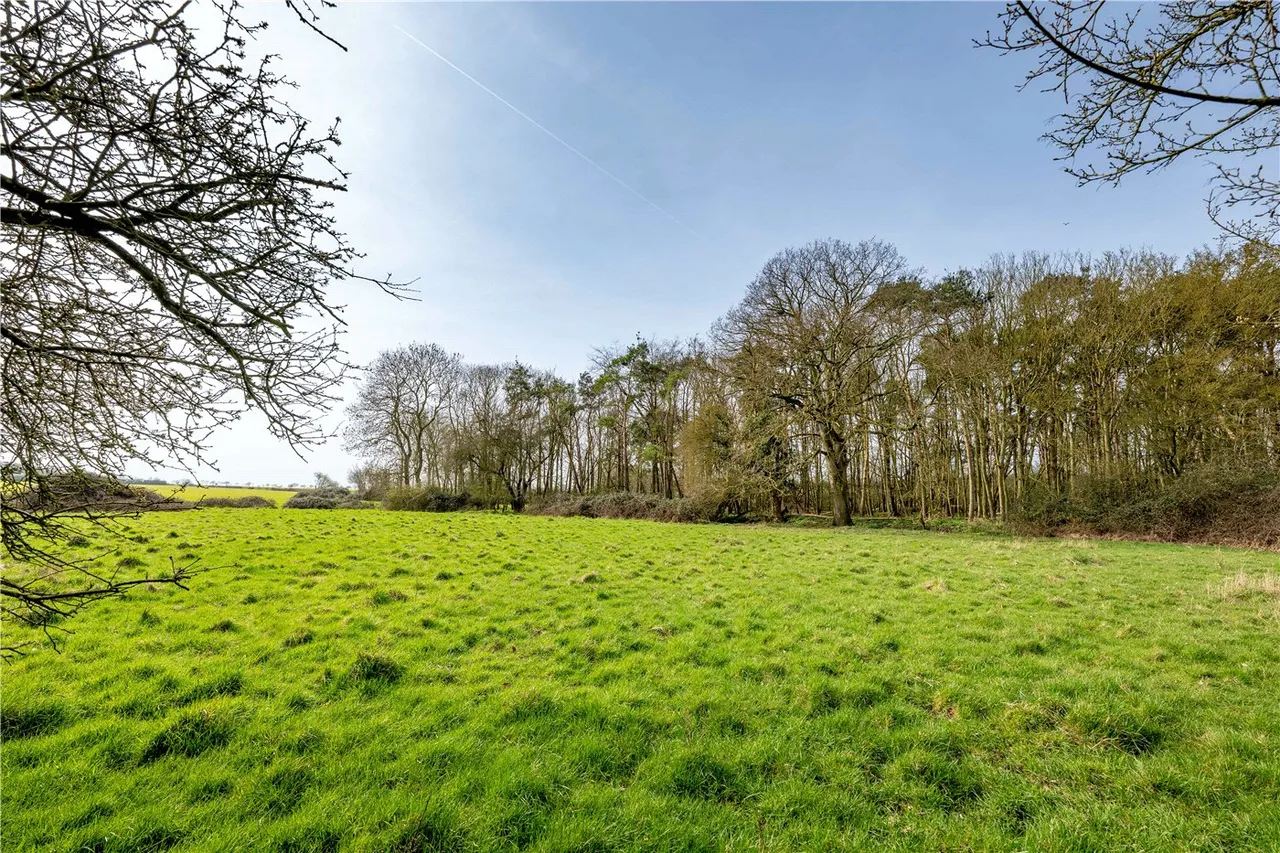 Barondole Lane, Topcroft, NR35, photo 11