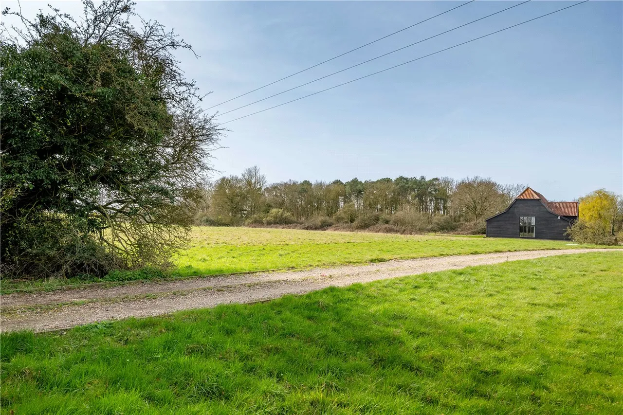 Barondole Lane, Topcroft, NR35, photo 20
