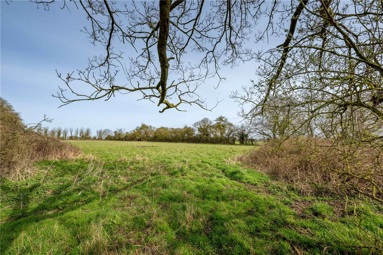 Barondole Lane, Topcroft, NR35, photo 12