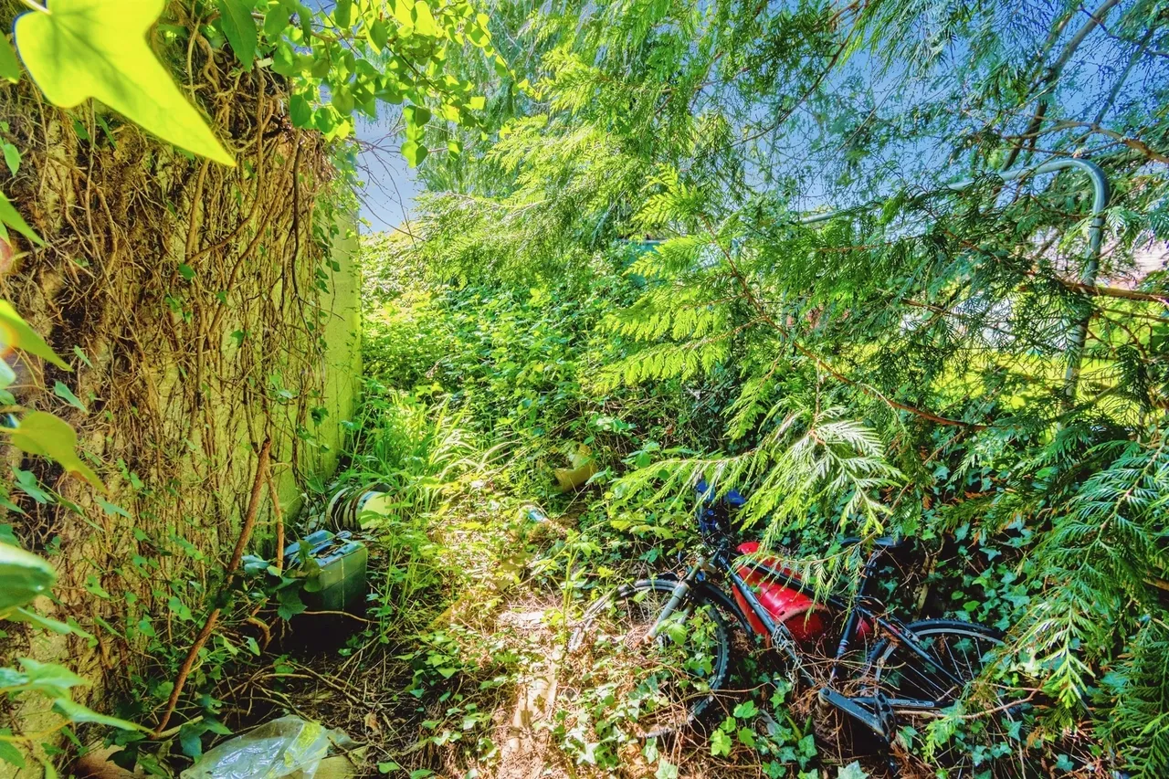 Swaythling Road, West End, Southampton, photo 10