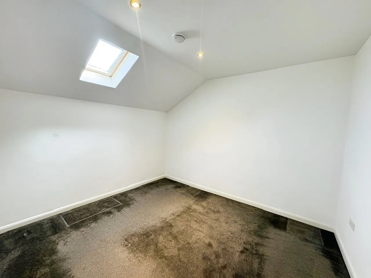 Oak Tree Apartments, 1-3 Reginald Road South, photo 4