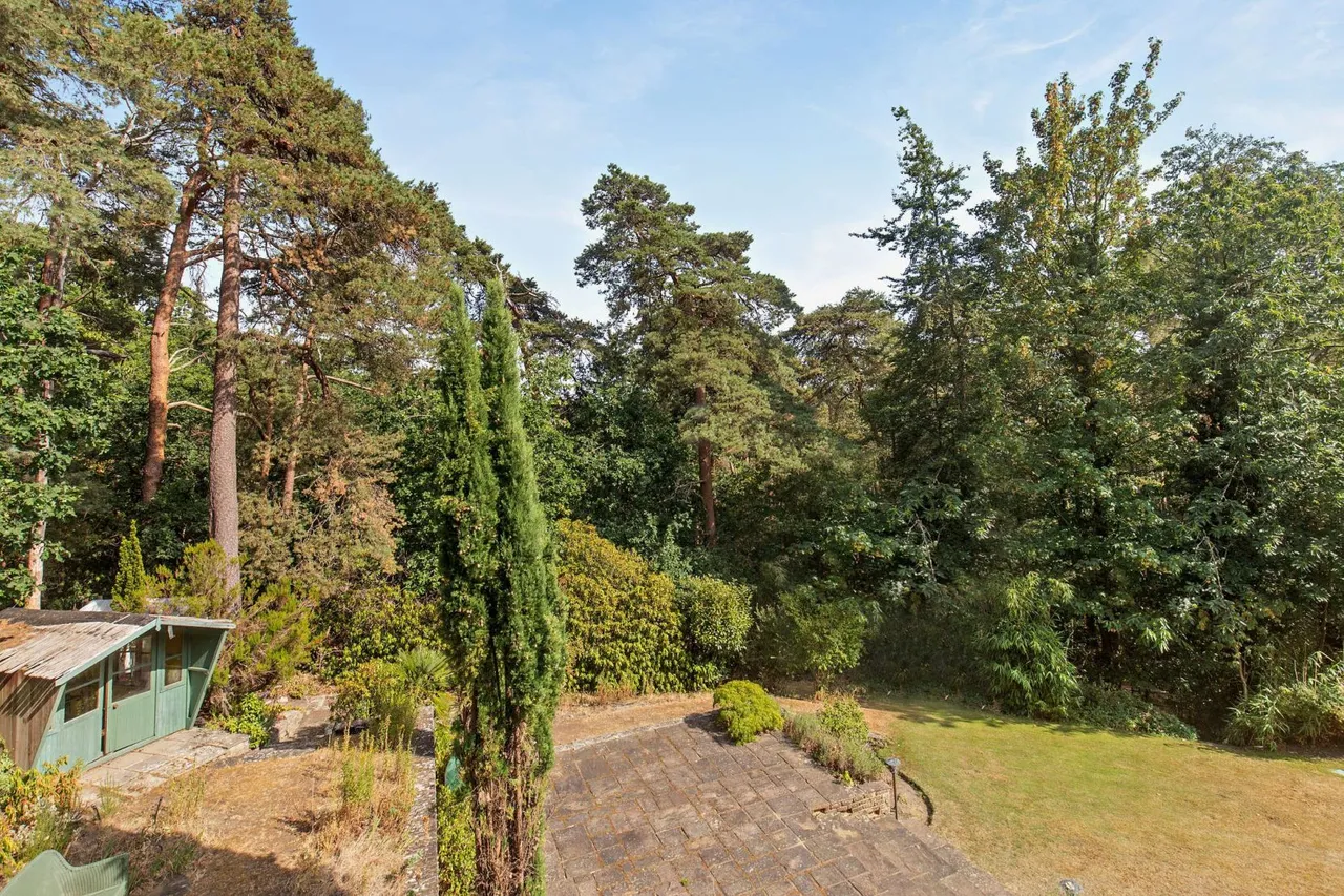 Beech Avenue, Lower Bourne, GU10, photo 25