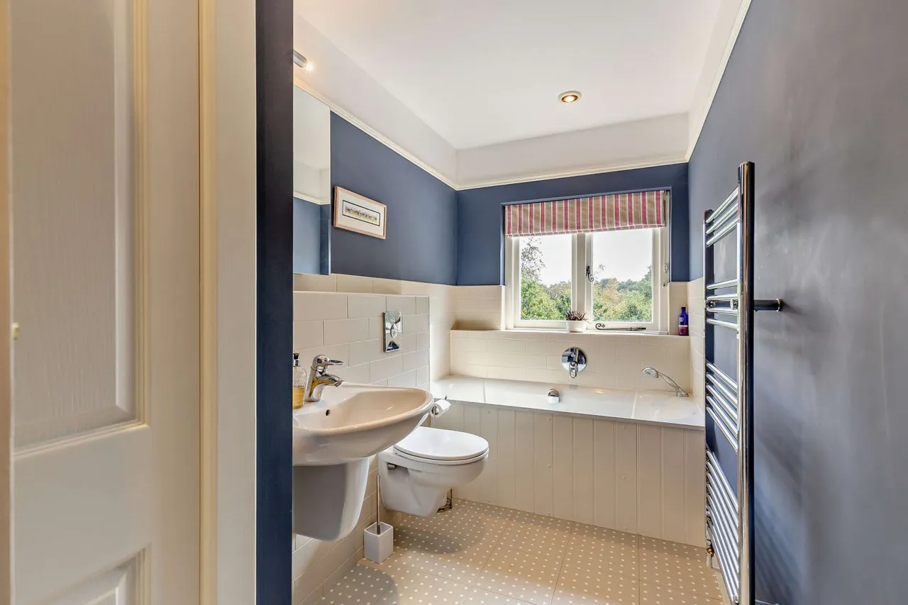 Beech Avenue, Lower Bourne, GU10, photo 17