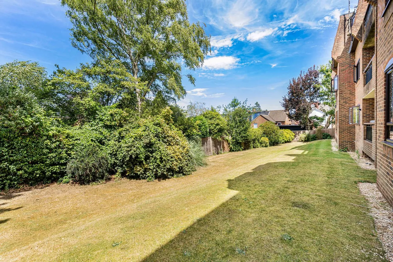 Morley Road, Farnham, GU9, photo 9