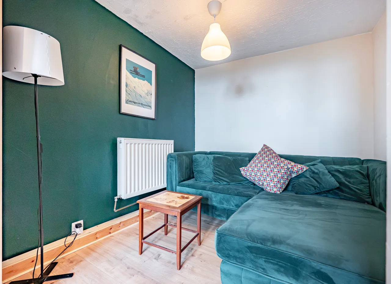 Milnbank Street, Dennistoun, G31, photo 6