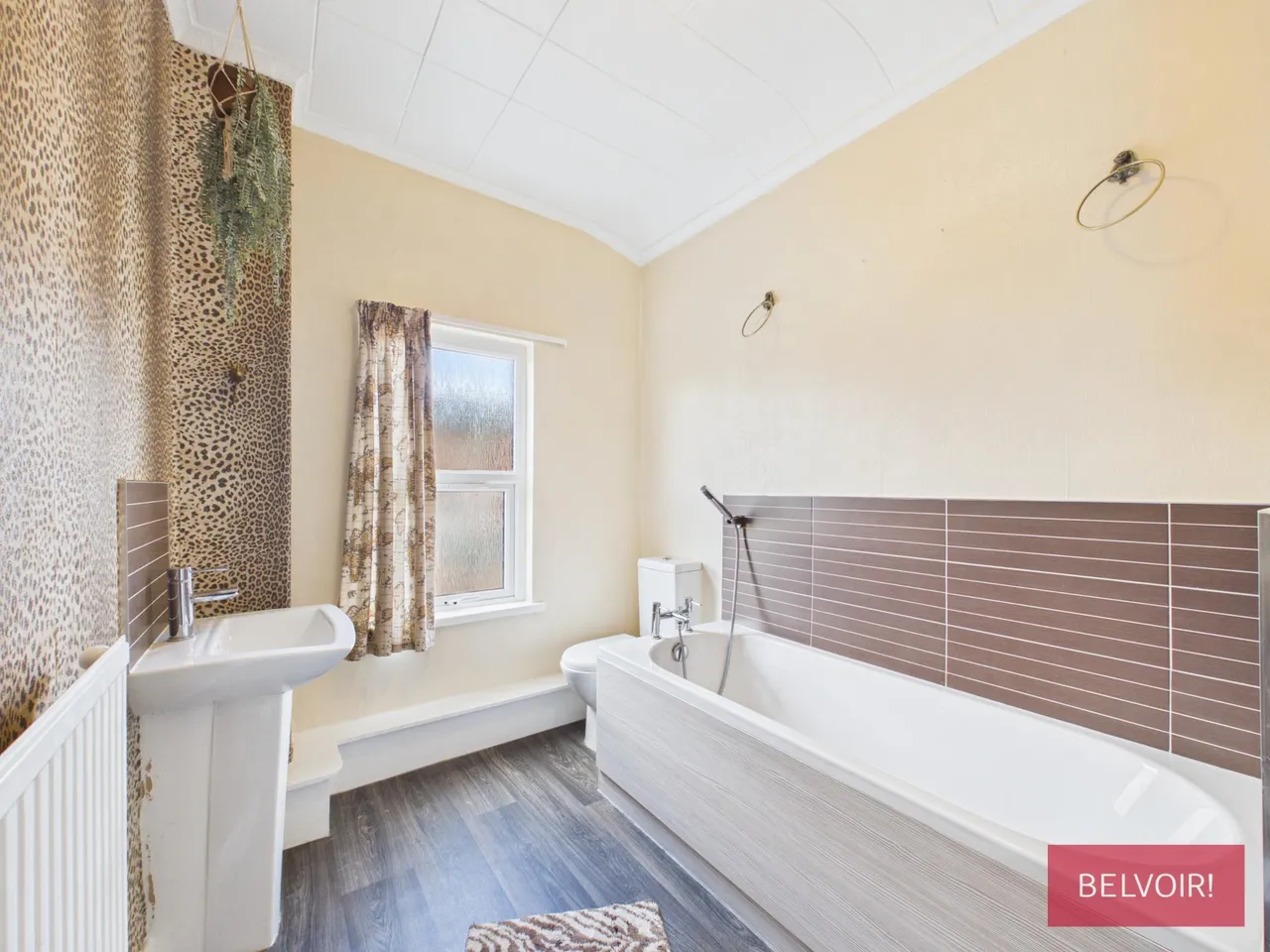 Saxon Street, Wrexham, LL13, photo 8