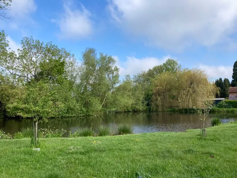 Hill Meadow Coleshill, Amersham HP7 0LF, photo 9